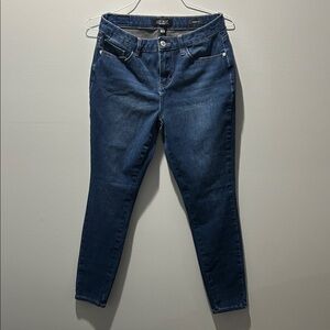 Judy Blue Deep Indigo Skinny Jeans